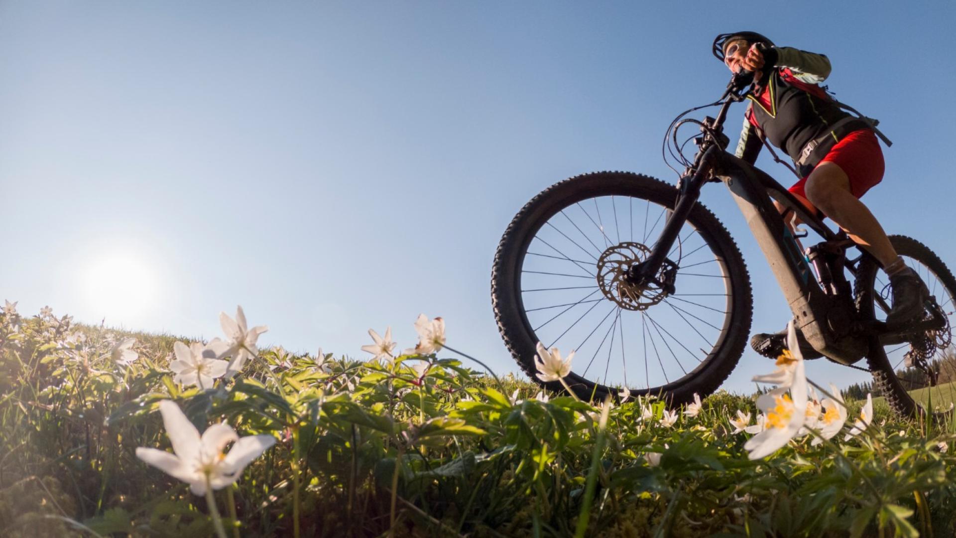 Ciclista in mountain bike tra i fiori sotto un cielo limpido.
