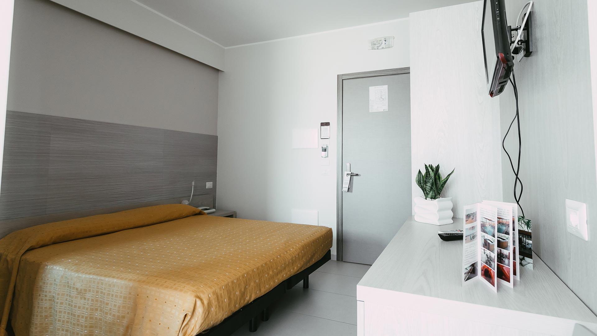 Simple hotel room with double bed, TV, and decorative plant.