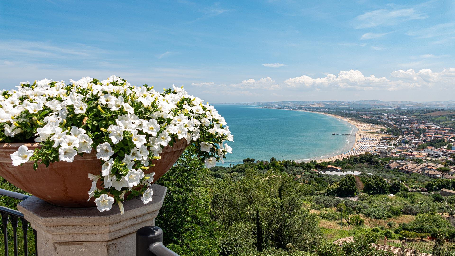 Panoramic view of the coast with white flowers in the foreground.