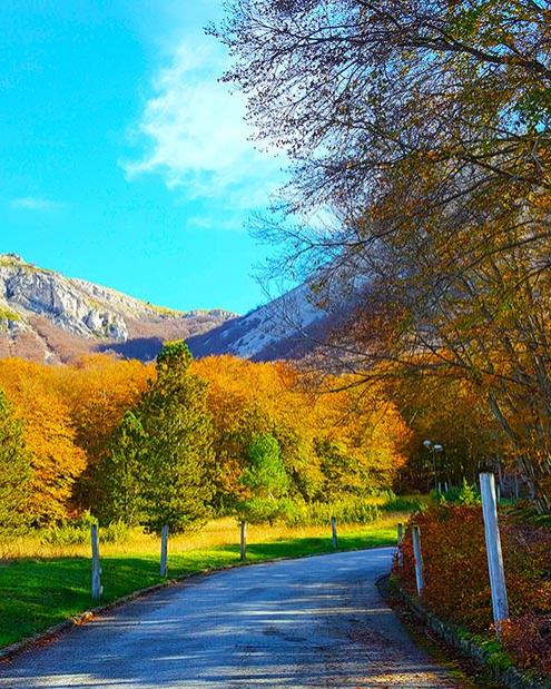 Strada di montagna in autunno con alberi colorati e cielo azzurro.